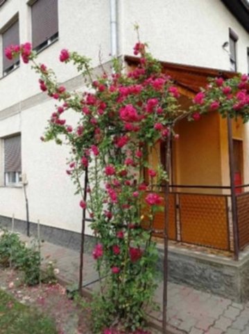 Eladó családi ház, Bátonyterenyén 37.9 M Ft, 5 szobás