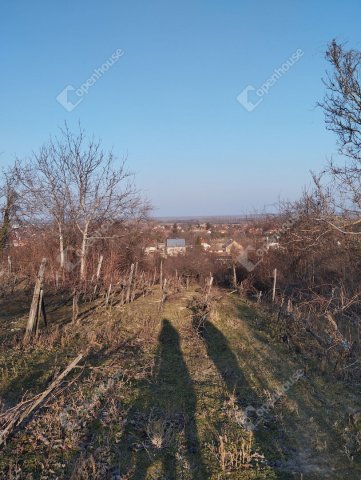 Eladó telek, Nyúlon 17 M Ft / költözzbe.hu