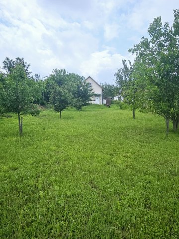Eladó mezogazdasagi ingatlan, Szekszárdon 6.9 M Ft, 1 szobás