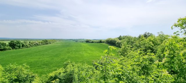 Eladó telek, Csabdiban 59.9 M Ft / költözzbe.hu