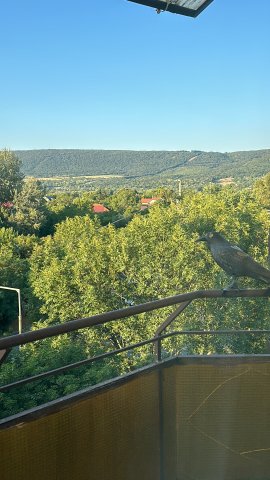 Kiadó téglalakás, albérlet, Tatabányán 160 E Ft / hó