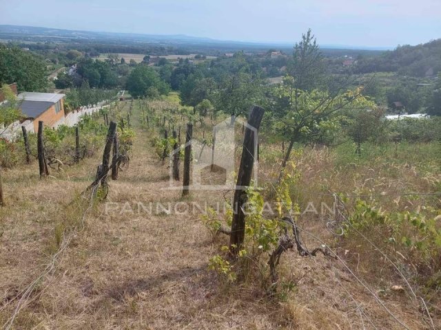 Eladó mezogazdasagi ingatlan, Magyarpolányban 9.9 M Ft