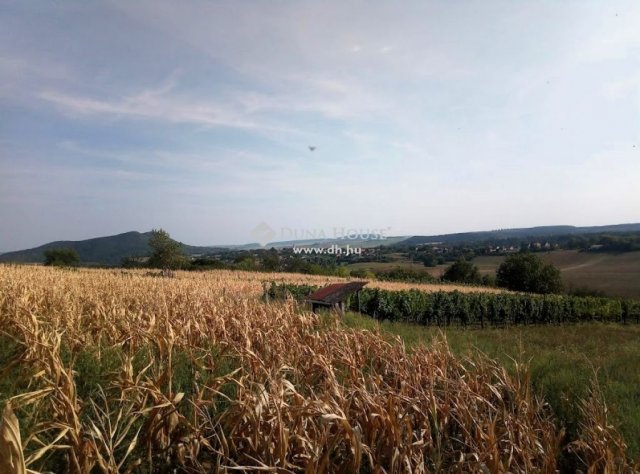 Eladó telek, Bajnán 3.9 M Ft / költözzbe.hu