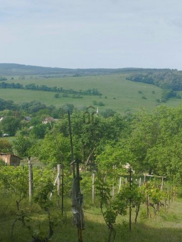 Eladó telek, Kerekin 4.9 M Ft / költözzbe.hu