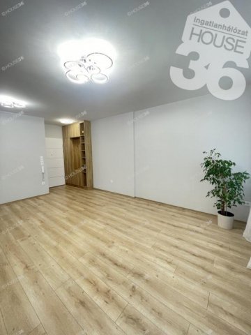 Kiadó téglalakás, albérlet, Kecskeméten 300 E Ft / hó