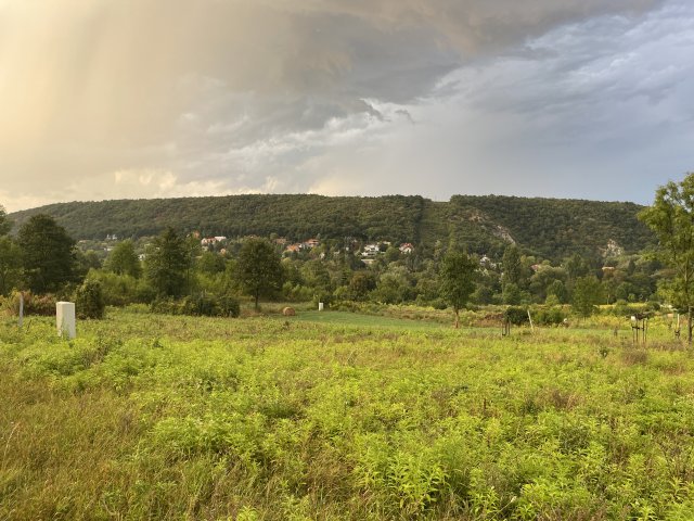 Eladó telek, Nagykovácsiban 85 M Ft / költözzbe.hu