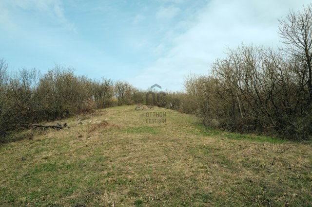 Eladó telek, Balatonszőlősön 210 M Ft / költözzbe.hu
