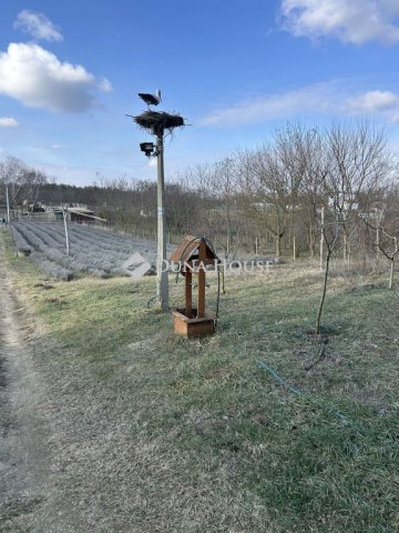 Eladó telek, Nyírturán 5.9 M Ft / költözzbe.hu