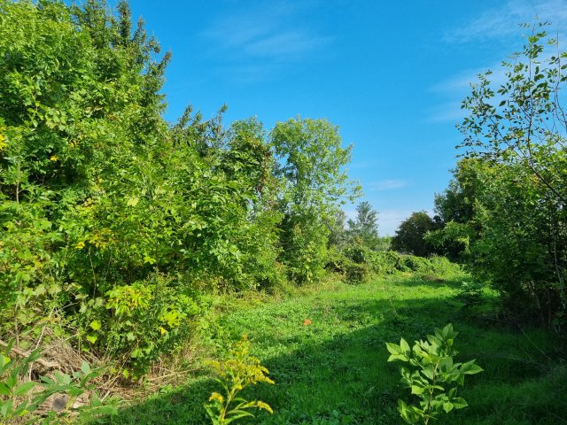 Eladó telek, Kisbéren 6.5 M Ft / költözzbe.hu