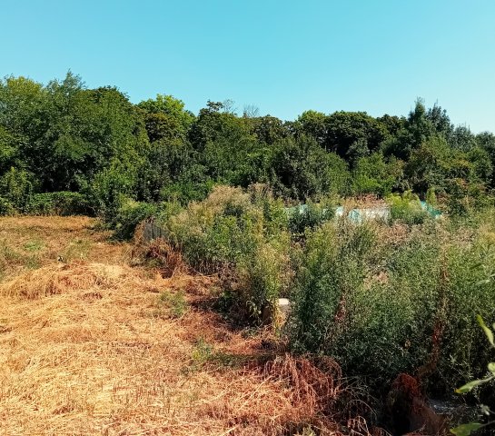 Eladó családi ház, Tiszaeszláron 5 M Ft, 2 szobás