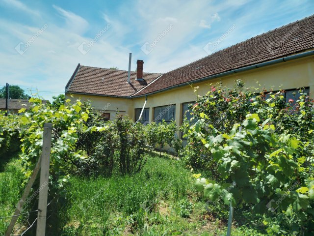 Eladó családi ház, Vésztőn 24.9 M Ft, 4 szobás