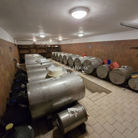Eladó mezogazdasagi ingatlan, Lakitelken 399 M Ft, 6 szobás