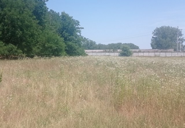 Eladó ipari ingatlan, Felsőpakonyban 199 M Ft