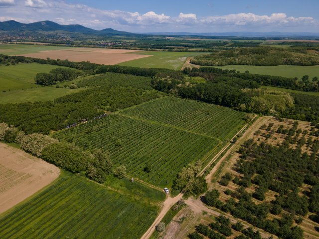 Eladó mezogazdasagi ingatlan, Nógrádon 19.9 M Ft