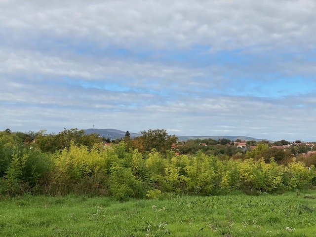 Eladó telek, Nagykozáron, Petőfi utcában 14.49 M Ft