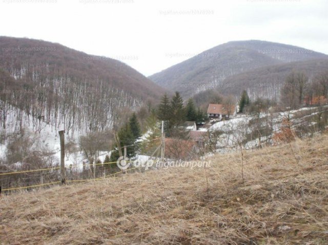 Eladó telek, Hosszúhetényen 12.5 M Ft / költözzbe.hu