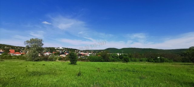 Eladó telek, Budakeszin 125 M Ft / költözzbe.hu