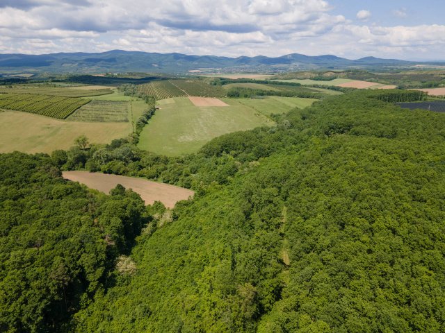 Eladó mezogazdasagi ingatlan, Nógrádon 30.9 M Ft