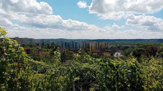 Eladó telek, Budaörsön, Szabadság úton 145 M Ft