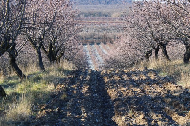 Eladó mezogazdasagi ingatlan, Zánkán 129 M Ft