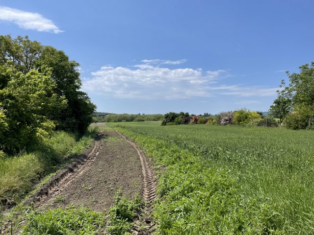 Eladó telek, Pázmándon 37.07 M Ft / költözzbe.hu