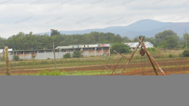 Kiadó téglalakás, albérlet, IX. kerületben, Ráday utcában