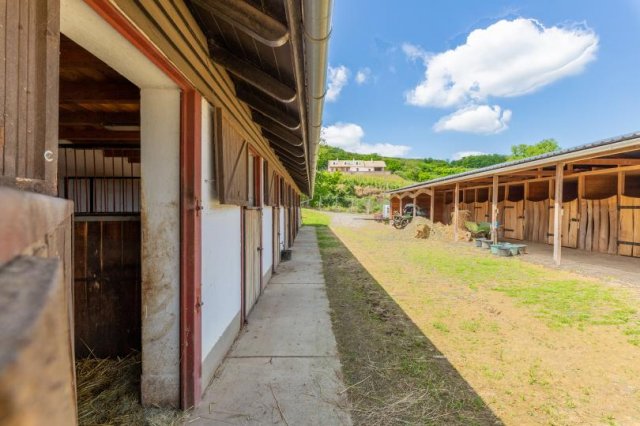 Eladó mezogazdasagi ingatlan, Szekszárdon 80 M Ft