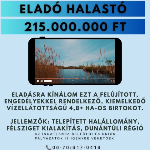 Eladó mezogazdasagi ingatlan, Székesfehérvárott 215 M Ft
