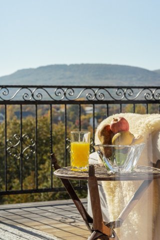 Eladó családi ház, Szentendrén 530 M Ft, 8 szobás