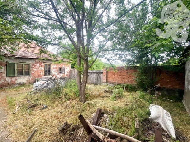 Eladó családi ház, Tiszaalpáron 6 M Ft, 3 szobás