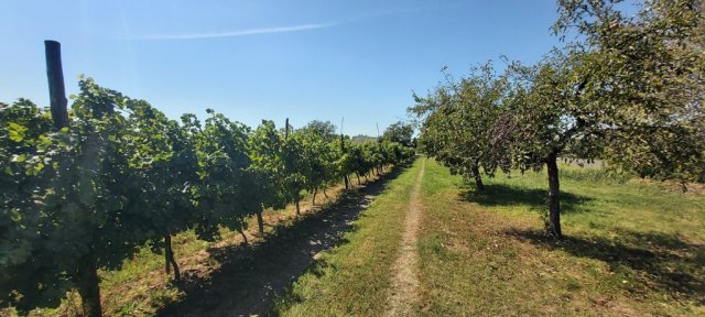 Eladó telek, Balatonbogláron 31.8 M Ft / költözzbe.hu