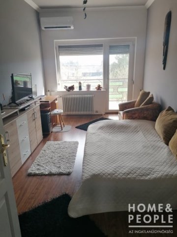 Eladó családi ház, Domaszéken 150 M Ft, 8+2 szobás