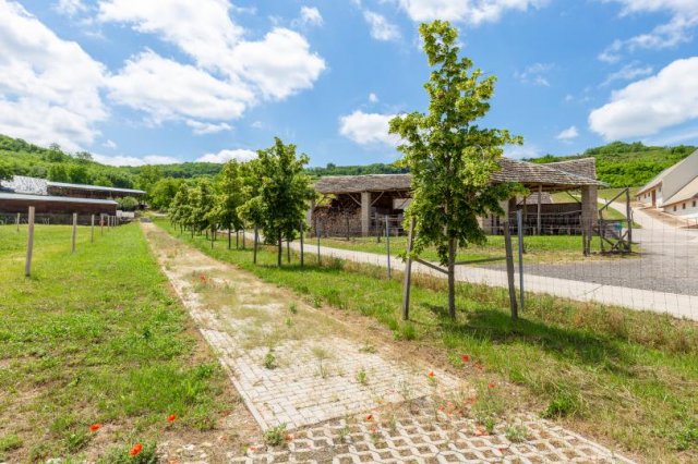 Eladó mezogazdasagi ingatlan, Szekszárdon 80 M Ft