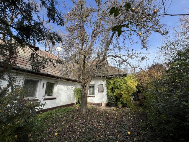 Eladó családi ház, Dányon 74 M Ft, 3 szobás