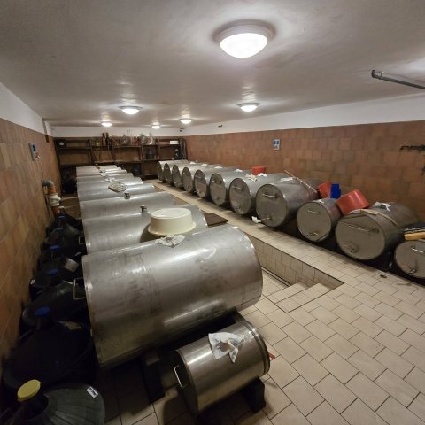 Eladó mezogazdasagi ingatlan, Lakitelken 399 M Ft, 6 szobás