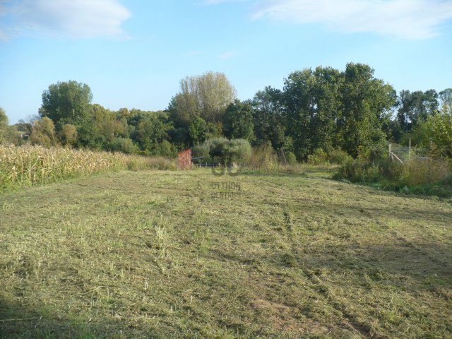 Eladó telek, Álmosdon 13.9 M Ft / költözzbe.hu