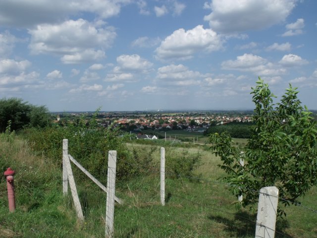 Eladó telek, Mályin 12 M Ft / költözzbe.hu