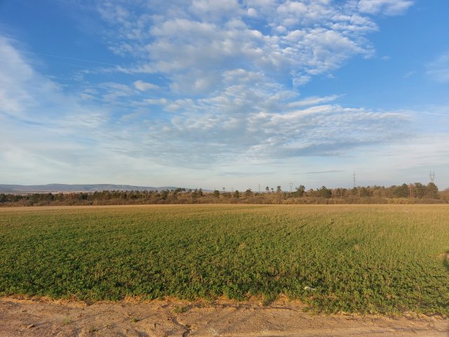 Eladó telek, Veszprémben 692.478 M Ft / költözzbe.hu