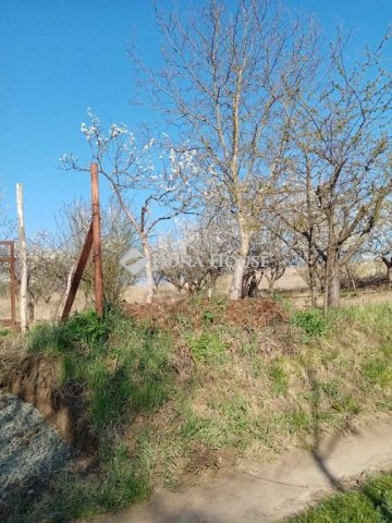 Eladó telek, Őrbottyánban 19.5 M Ft / költözzbe.hu