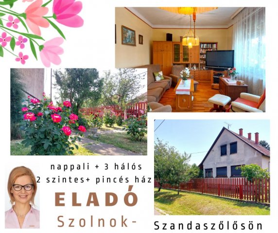 Eladó családi ház, Szolnokon 52.8 M Ft, 1+3 szobás