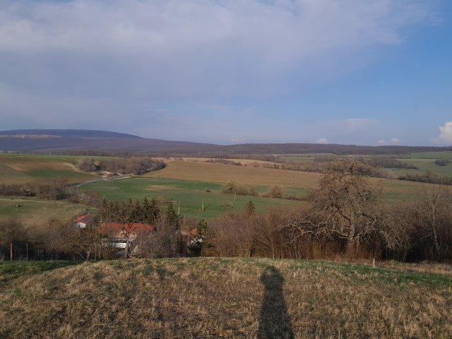 Eladó családi ház, Vértestolnán 8.99 M Ft, 2 szobás