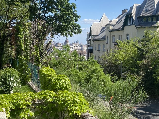 Kiadó téglalakás, albérlet, Budapesten, II. kerületben