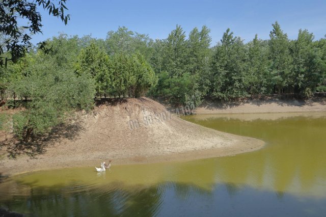 Eladó mezogazdasagi ingatlan, Ópusztaszeren 59 M Ft, 2 szobás