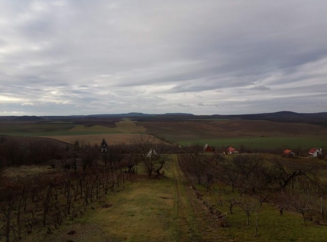 Eladó mezogazdasagi ingatlan, Bajnán 12.5 M Ft, 1 szobás