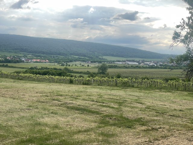 Eladó telek, Szentantalfán 16 M Ft / költözzbe.hu