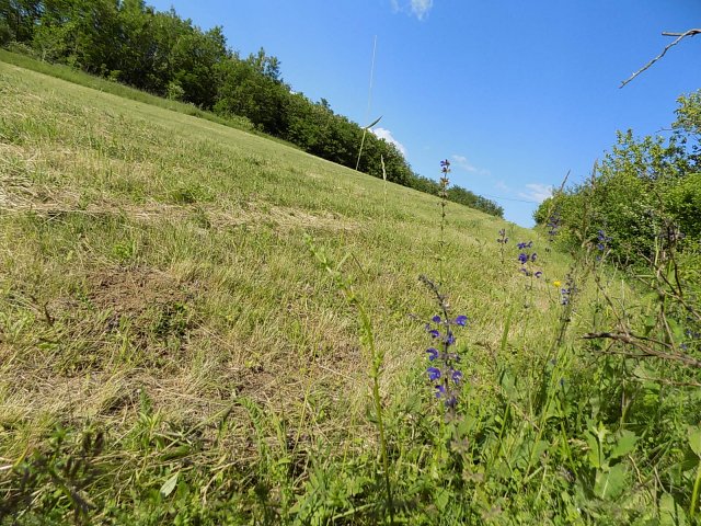 Eladó telek, Balatonberényben 7.5 M Ft / költözzbe.hu