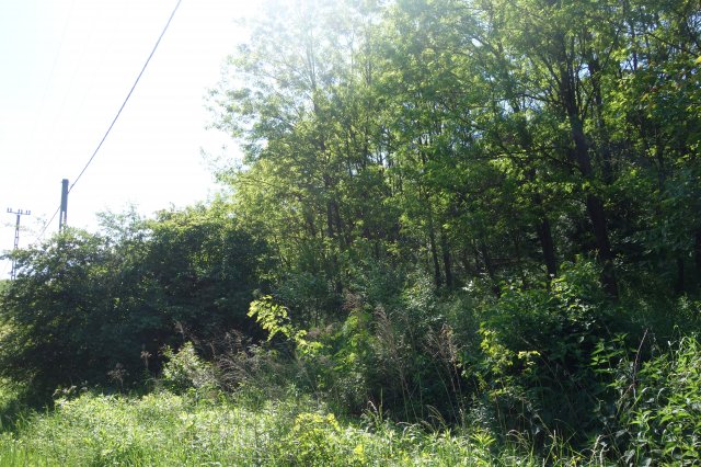 Eladó mezogazdasagi ingatlan, Isaszegen 3.9 M Ft
