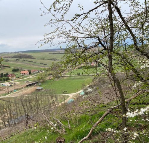 Eladó telek, Nőtincsen 200 M Ft / költözzbe.hu