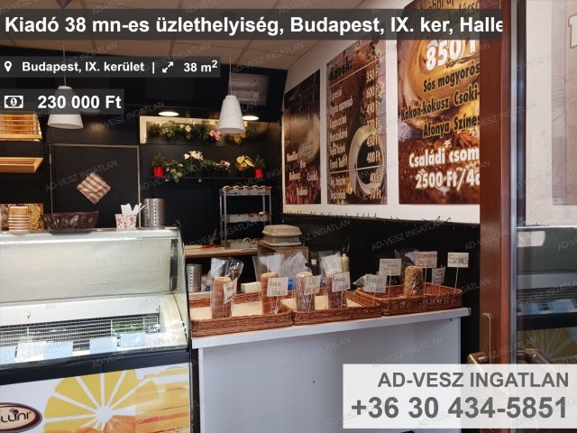 Kiadó üzlethelyiség, Budapesten, IX. kerületben 230 E Ft / hó