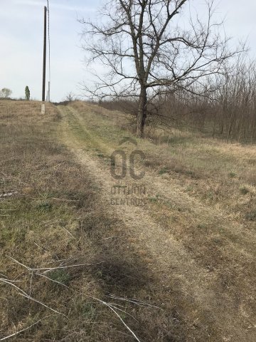 Eladó mezogazdasagi ingatlan, Tápióbicskén 1.9 M Ft